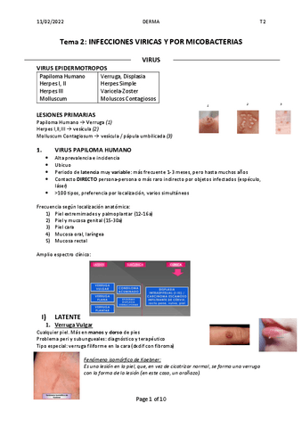 Tema-2.-InfVirusMicobacteria.pdf