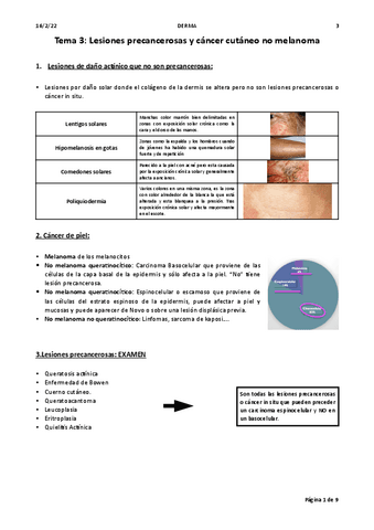 Tema-3-Derma.pdf