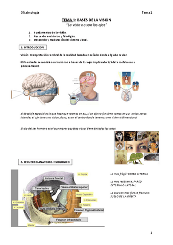 Tema-1-Bases-de-la-vision.pdf