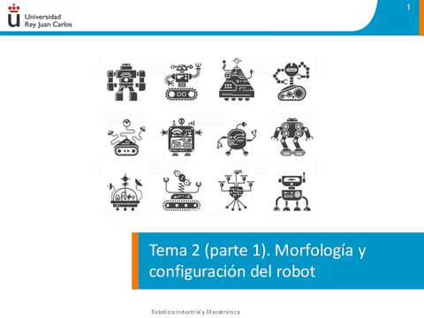 Tema-2.1-Morfologia.pdf