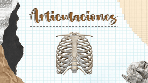 Articulaciones-de-torax.pdf