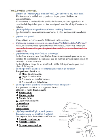 Z-Tema-3-Preguntas.pdf