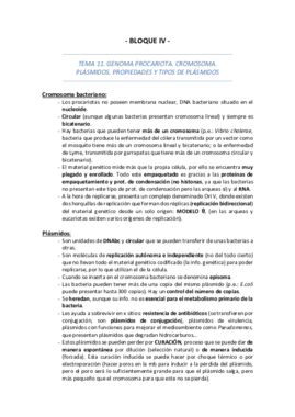 Parte II Microbiología.pdf