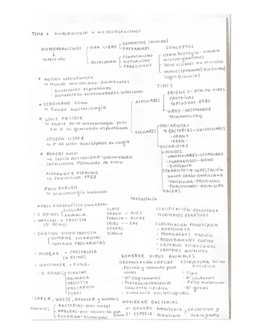 ESQUEMAS-1BLOQUE-MICROBIOLOGIA.pdf