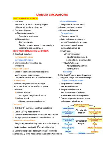 Anatomia-Aparato-Circulatorio.pdf