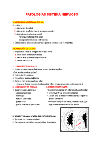 Anatomia-Patologias-Sistema-Nervioso.pdf