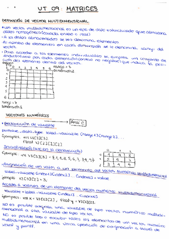 Unidad-9.-Matrices.pdf