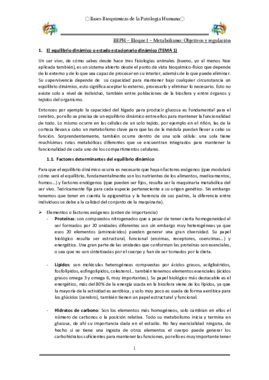 BBPH-1.pdf