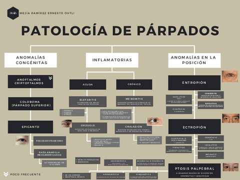 Patologia-de-parpados.pdf