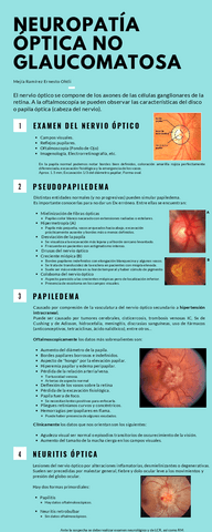 Neuropatia-NO-Glaucomatosa.pdf