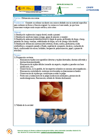 Protocolo-obturacion-resina.pdf