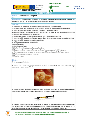 Protocolo-obturacion-amalgama.pdf