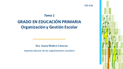 Tema1.DIAPOSITIVAS.pdf