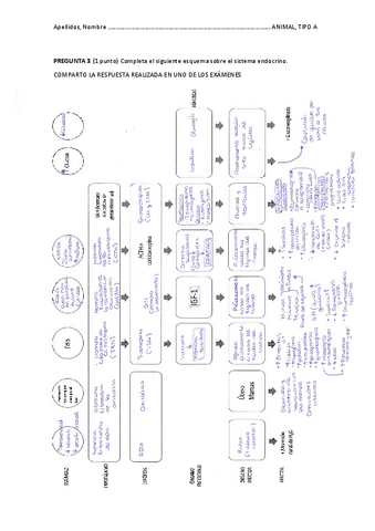 EXAMEN-MAYO-resuelto.pdf
