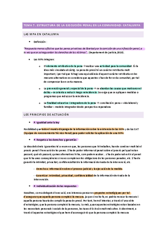 TEMA-7.-Estructura-ejecucion-penal.pdf