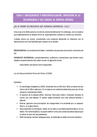 TEMA-1.pdf
