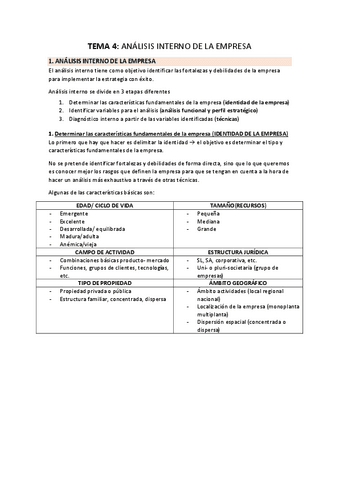 TEMA-4-ANALISIS-INTERNO-DE-LA-EMPRESA.pdf