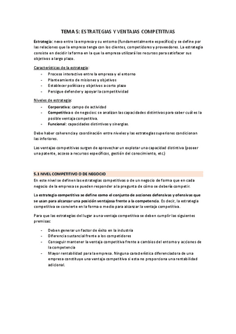 TEMA-5-ESTRATEGIAS-Y-VENTAJAS-COMPETITIVAS.pdf