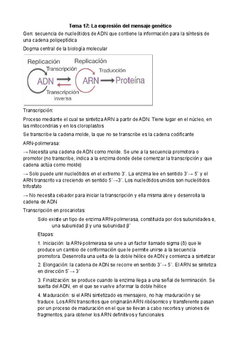 Tema-17-La-expresion-del-mensaje-genetico.pdf