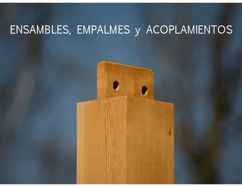 ENSAMBLES-EMPALMES-Y-ACOPLAM.-DE-MAD..pdf