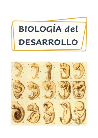 Biologia-del-desarrollo-temario-completo.pdf