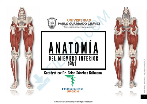 AnatomiaHumanaIMusculosMiembroInfer.pdf