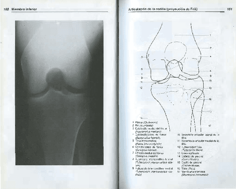 AnatomiaRadiologica-TorstenBMoller-7.pdf