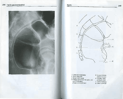 AnatomiaRadiologica-TorstenBMoller-10.pdf