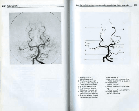 AnatomiaRadiologica-TorstenBMoller-11.pdf