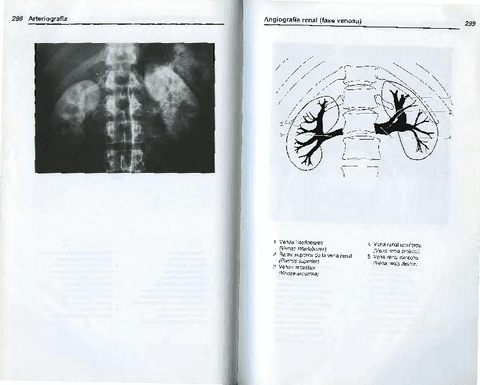 AnatomiaRadiologica-TorstenBMoller-12.pdf