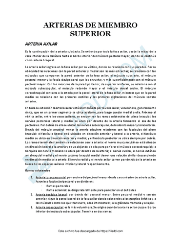 ARTERIAS-DE-MIEMBRO-SUPERIOR.pdf