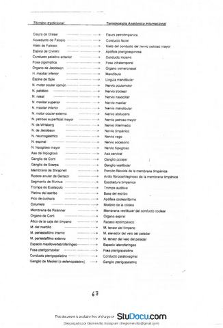 APUNTES-ANATOMIA-12.pdf