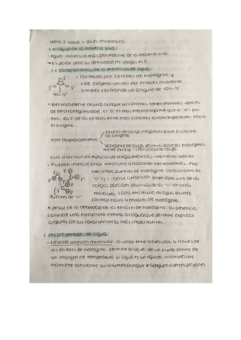 T2-agua-y-sales-minerales.pdf