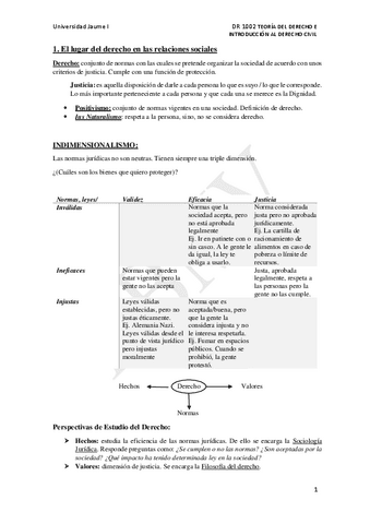 Temas-Teoria-del-Derecho-Completo.pdf