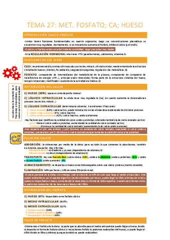 Metabolismo-fosfato-calcio-hueso.pdf