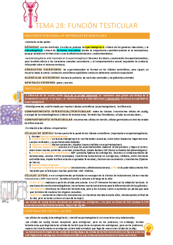 Funcion-testicular.pdf