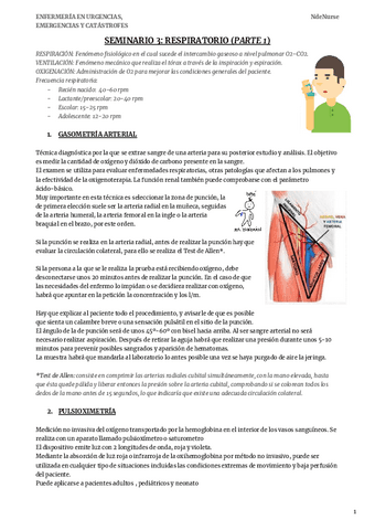 SEMINARIO-3-RESPIRATORIO-PARTE-1.docx-1.pdf