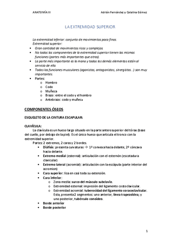 1.-Extremidad-superior.pdf