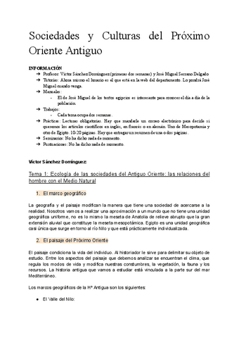 Apuntes Completos Sociedades y Culturas del POA.pdf