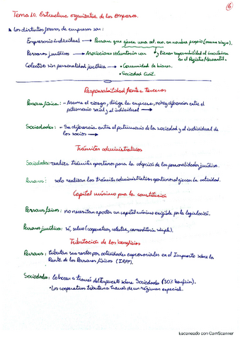 Tema-10Estructura-organizativa-de-las-empresas.pdf