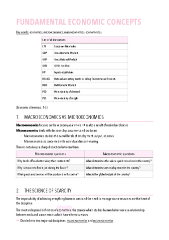 Tema-2-Fundamental-economic-concepts.pdf