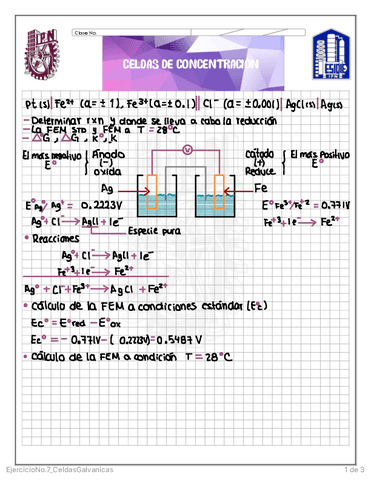 EjercicioNo.7CeldasGalvanicas.pdf