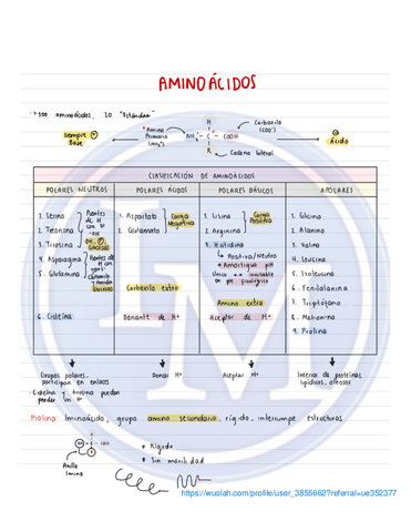 Aminoacidos.pdf