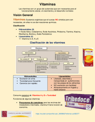 Vitaminas.pdf