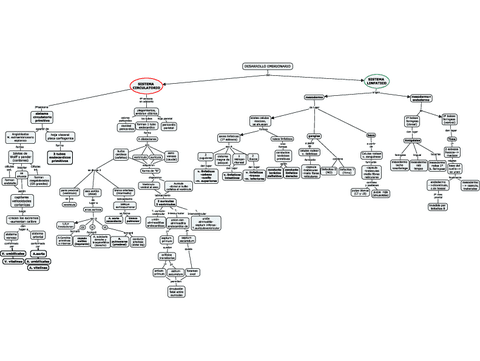 EMBRIOLOGIA-S.-CIRCULATORIO-Y-LINFATICOcompressed.pdf