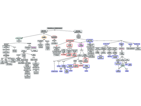 EMBRIOLOGIA-S.-ESQUELETICO-Y-MUSCULAR.pdf