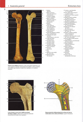 Atlas-Yokochi-6ta-1-2.pdf