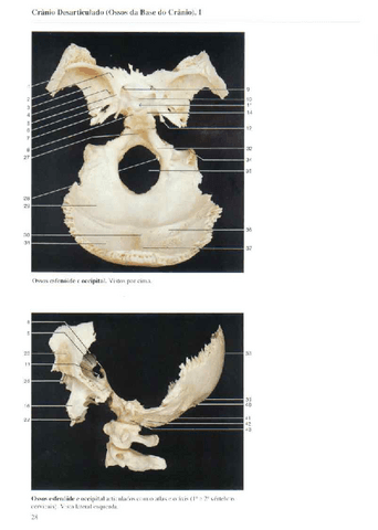 Atlas-Yokochi-6ta-1-3.pdf