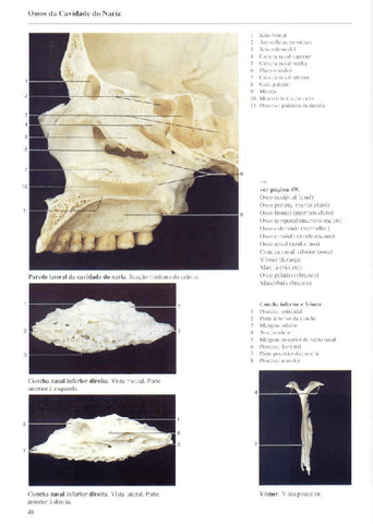 Atlas-Yokochi-6ta-1-4.pdf