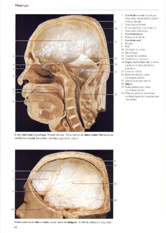 Atlas-Yokochi-6ta-1-6.pdf
